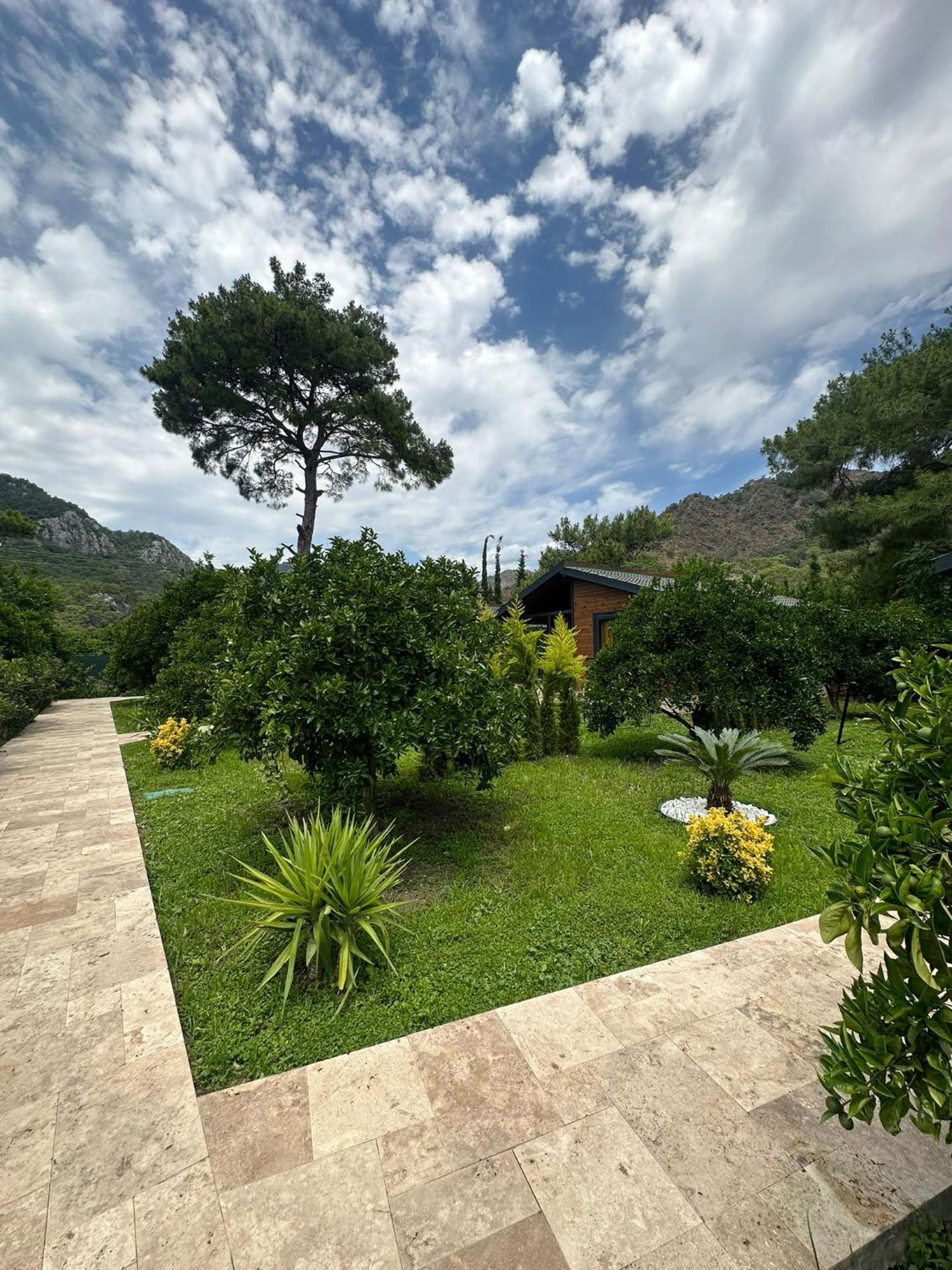 Cirali Villa'S Kemer Eksteriør billede
